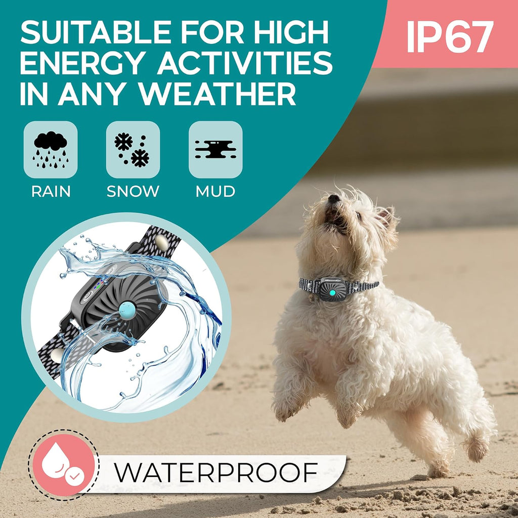PawQuiet Bark Control Collar For Small Dogs