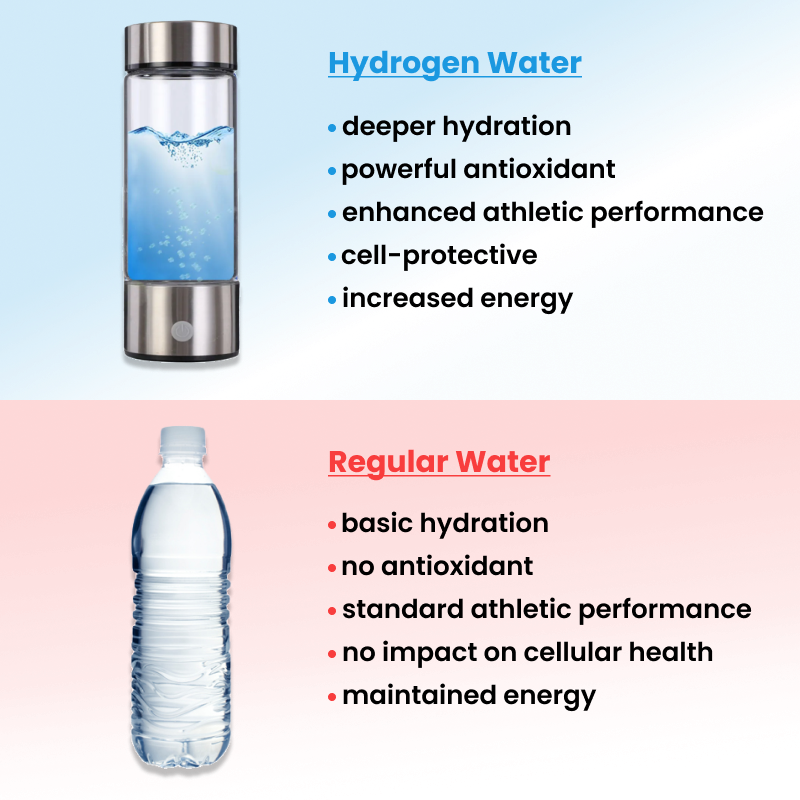 AquaVita Hydrogen Water Bottle