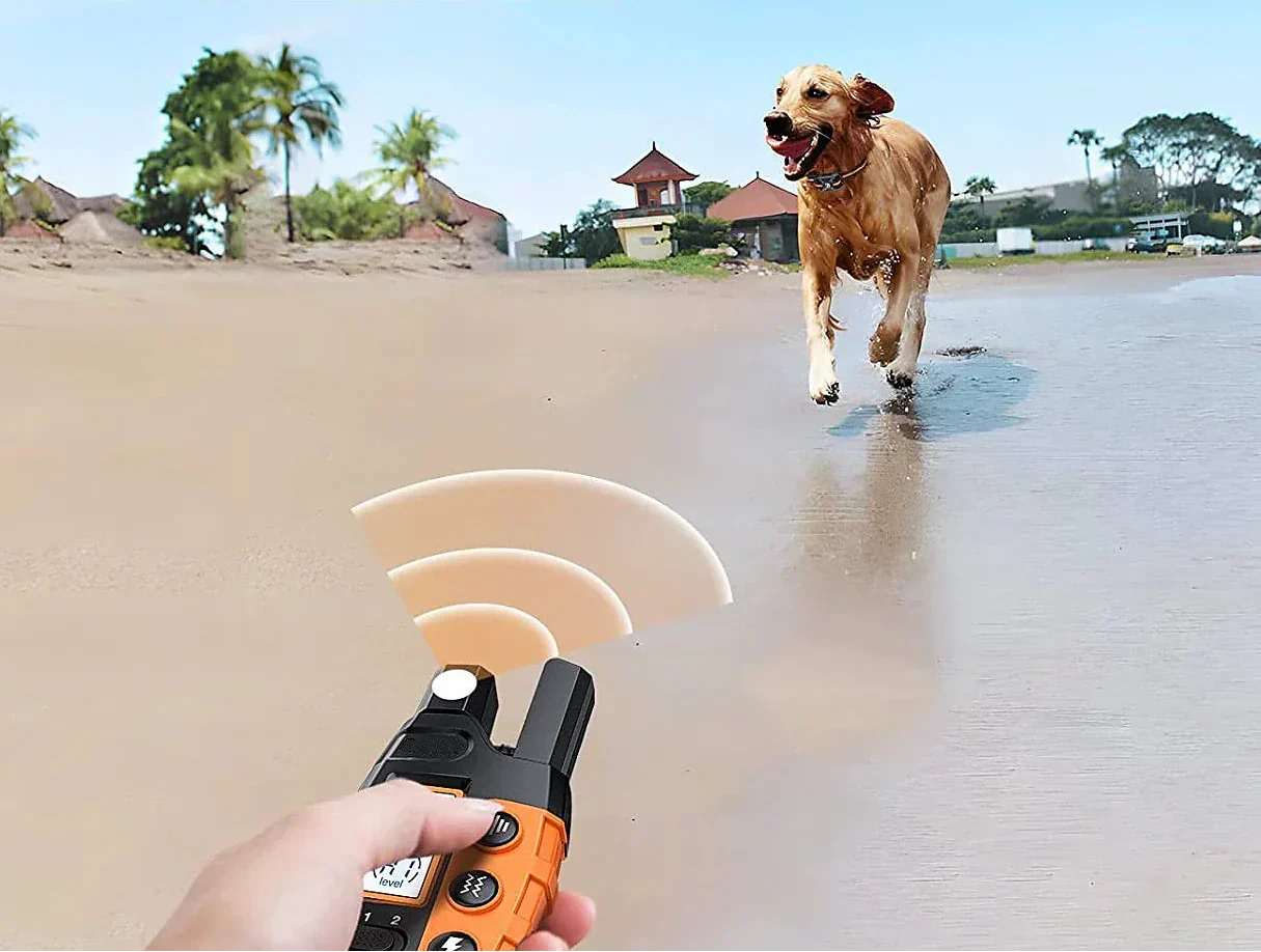 Corvin 1000m Rechargeable Waterproof Dog Training E-Collar With Remote, Fits All Dog Sizes