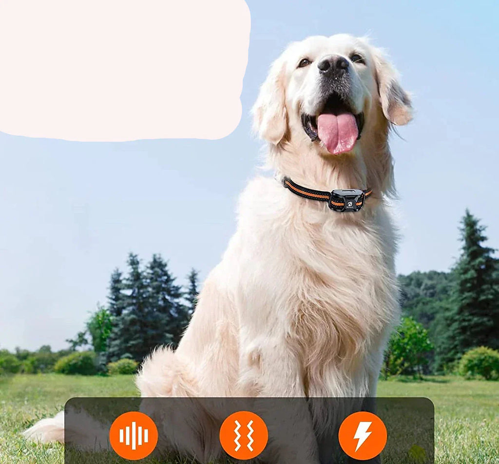 Corvin 1000m Rechargeable Waterproof Dog Training E-Collar With Remote, Fits All Dog Sizes
