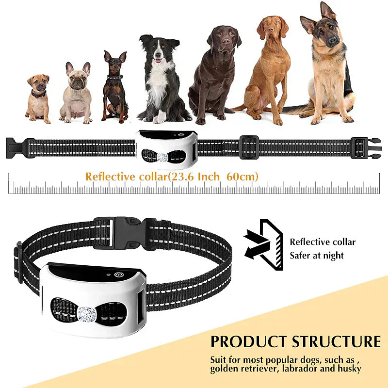 Dual-Mode Wireless Dog Fence and Outdoor Training Collar