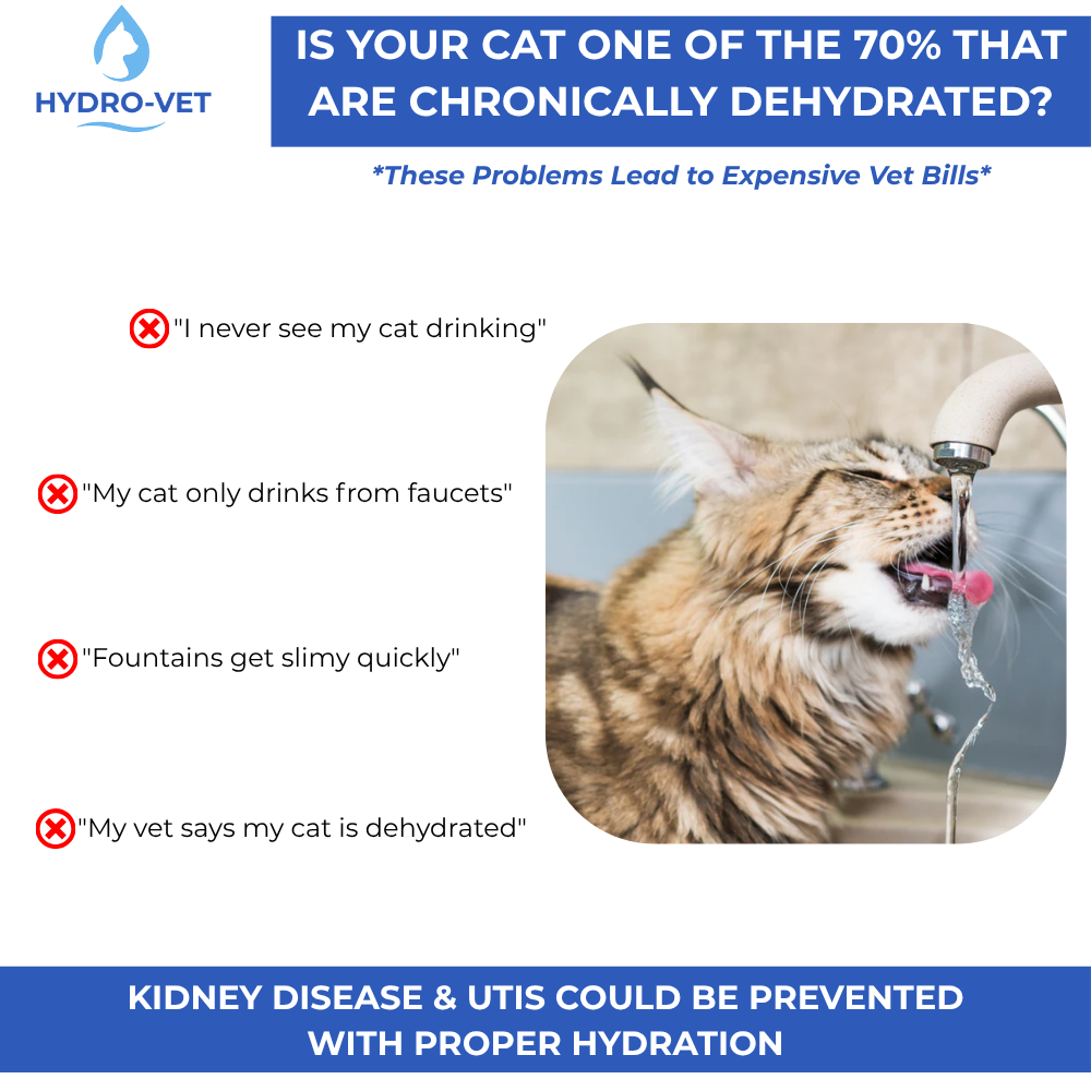 Whisper-Quiet Cat Water Fountain with Veterinary-Inspired Technology, Compact and Easy to Clean for All Pets