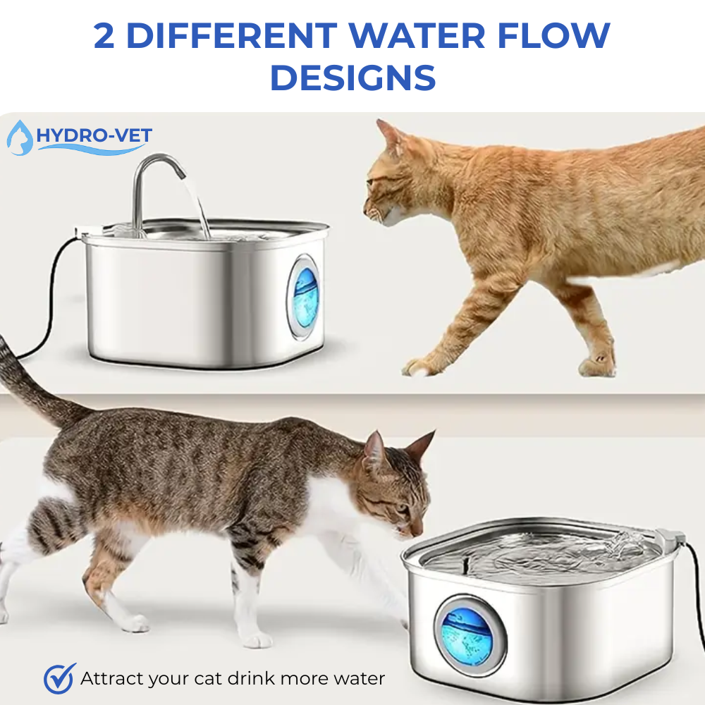 Whisper-Quiet Cat Water Fountain with Veterinary-Inspired Technology, Compact and Easy to Clean for All Pets