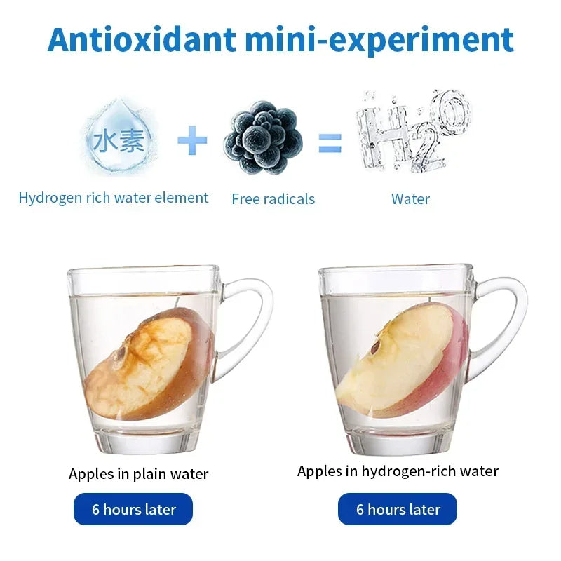 AquaVita Hydrogen Water Bottle